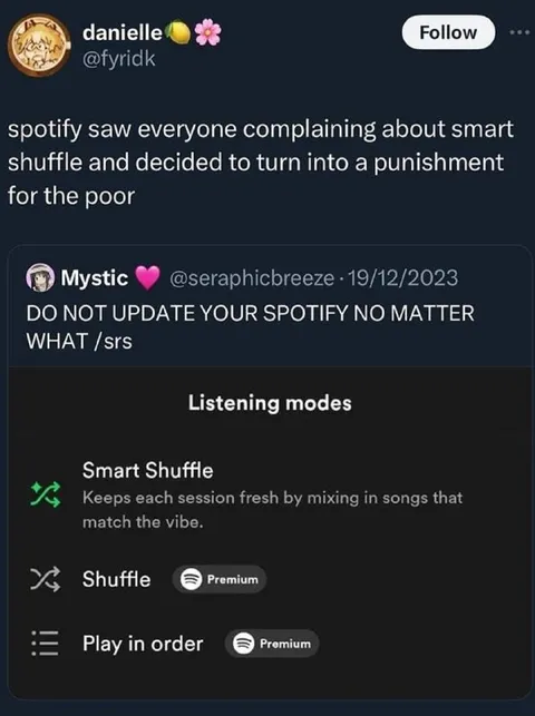 Spotify Smart Shuffle Punishment