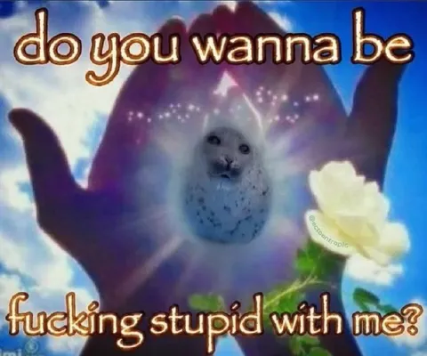 Do You Wanna Be Stupid With Me