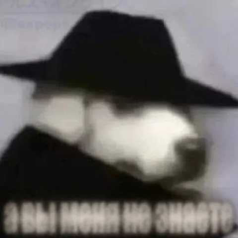 Кот в шляпе ничего не понял