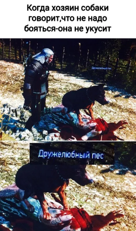 Дружелюбный пёс не кусается