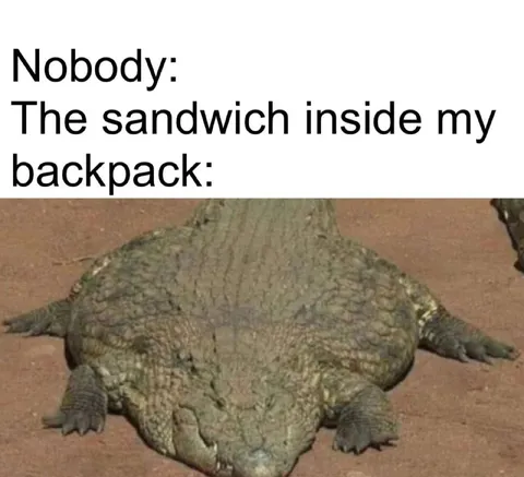 Sandwich Inside My Backpack