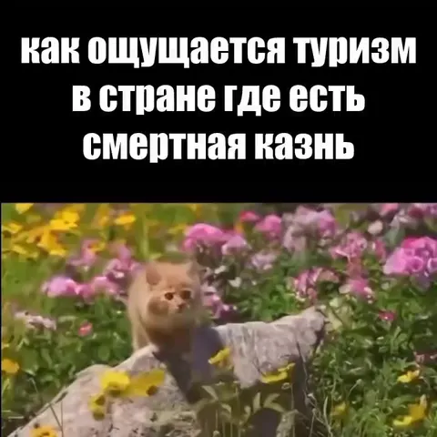 Туризм в стране со смертной казнью