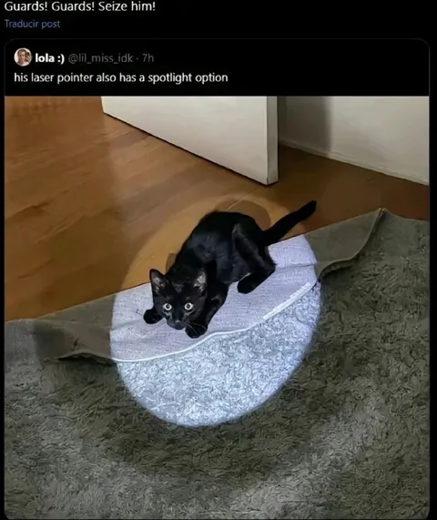 Cat Uses Laser Pointer Spotlight