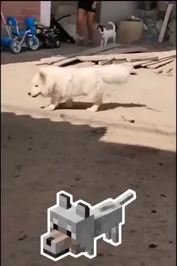 Пушистый пёс и Minecraft-собака