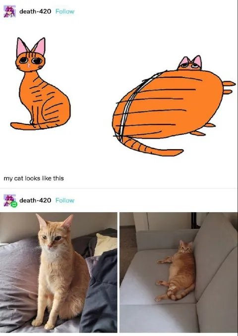 My Cat Looks Like This