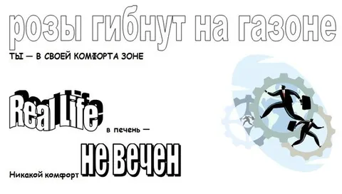 Розы гибнут на газоне