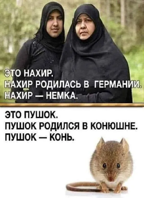 Это Нахир, это Пушок