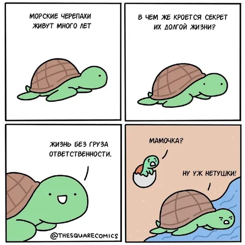 Секрет долгой жизни черепах