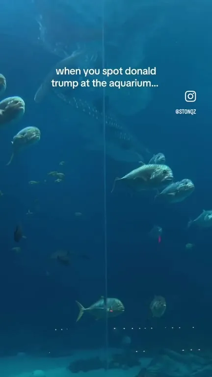 Donald Trump at the Aquarium