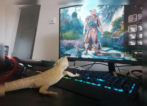Bearded Dragon Plays a Video Game