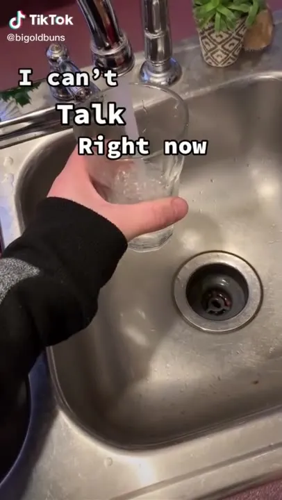 I Can't Talk, I'm Making Piss