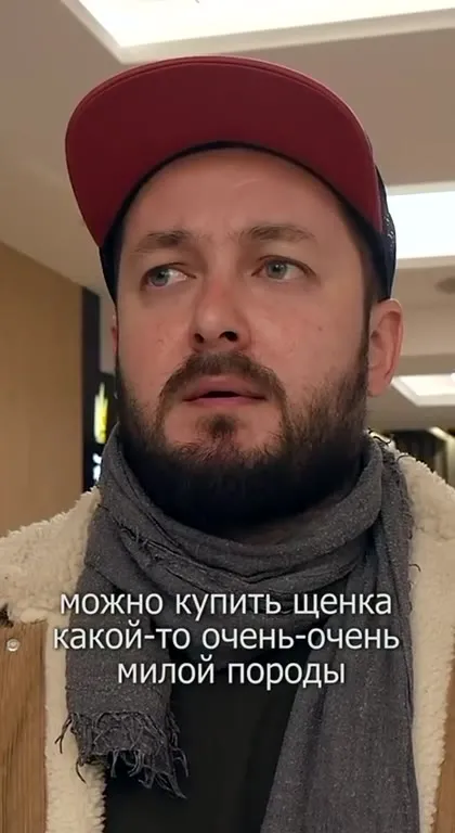 Собака для знакомства с девушками