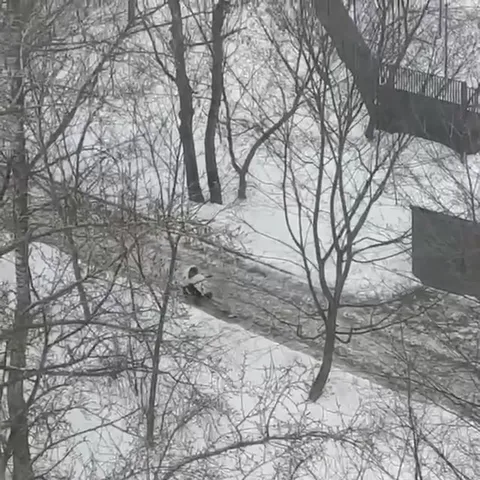Неудачная поездка по снегу