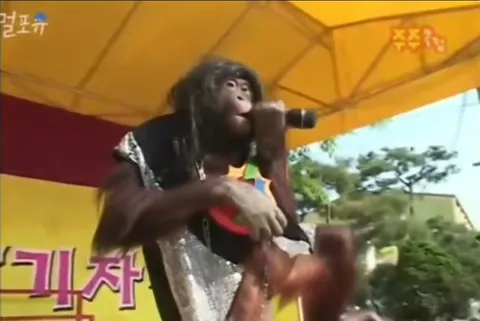 This Ain't a Song Orangutan