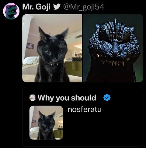 Why You Should Nosferatu