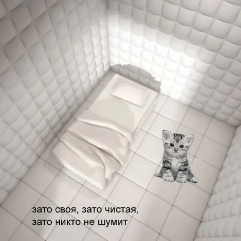 Зато своя и тихая квартира