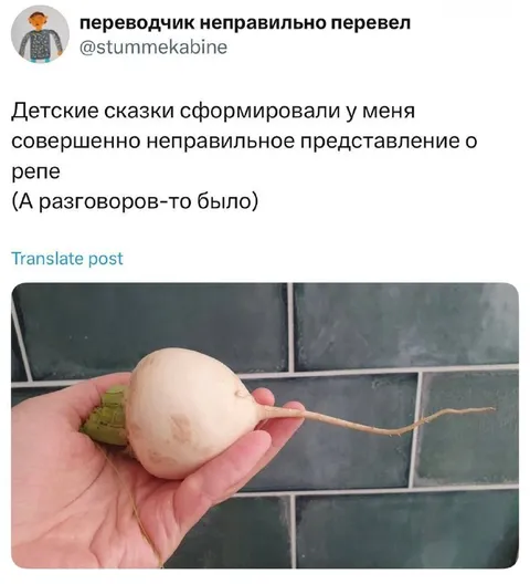Неправильное представление о репе