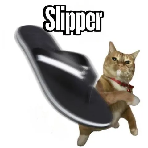 Cat with a Slipper