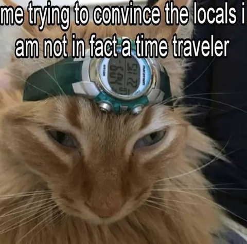 Cat Time Traveler Denial