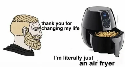 Air Fryer Changed My Life