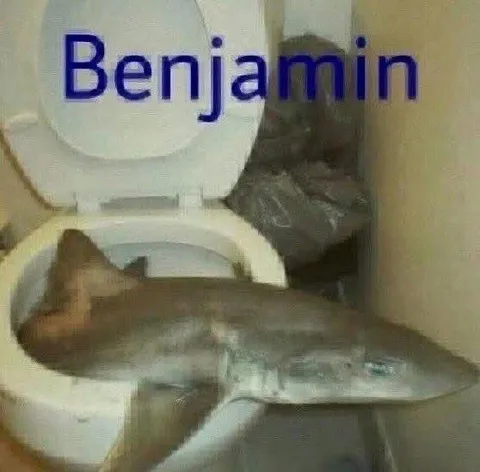 Benjamin the Toilet Fish