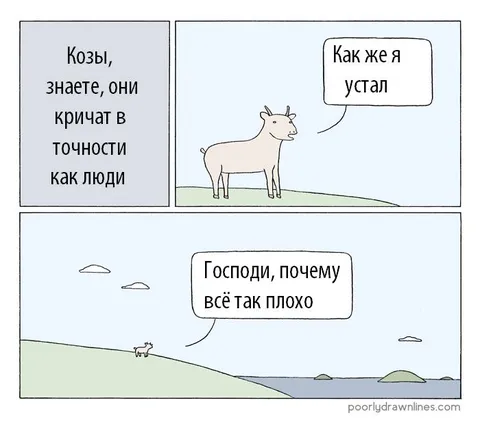 Козы кричат как люди