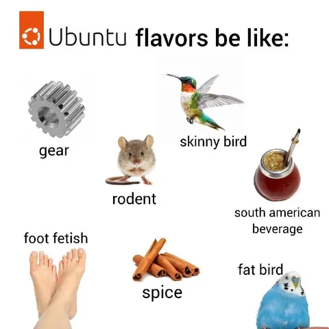 Ubuntu Flavors Be Like