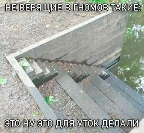 Лестница для уток к воде