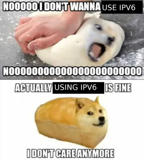 Doge Doesn't Care About IPv6