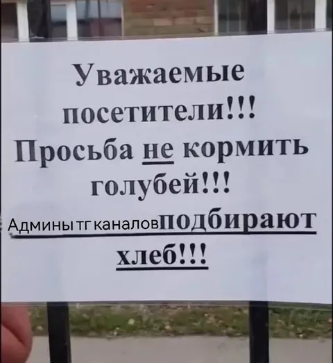 Админы подбирают хлеб