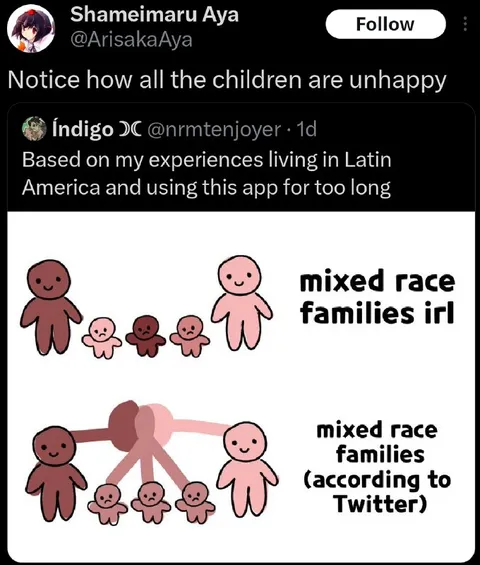 Mixed Race Families According to Twitter