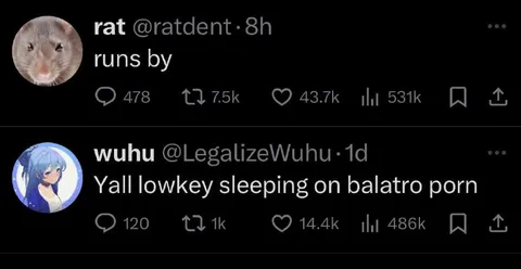 Yall Sleeping on Balatro Porn