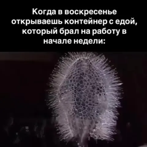 Еда с работы воскресным сюрпризом