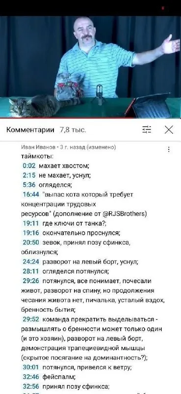 Таймкоты про кота-сфинкса