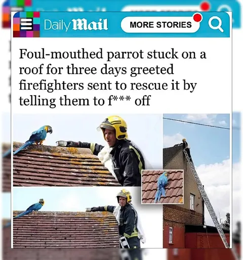 Parrot Tells Firefighters to F*** Off