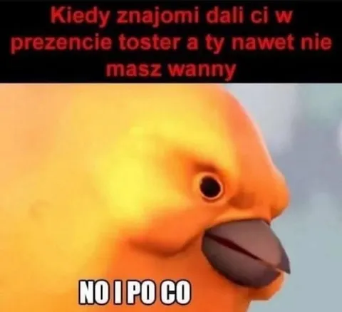 Toster bez wanny