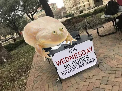 It Is Wednesday My Dude