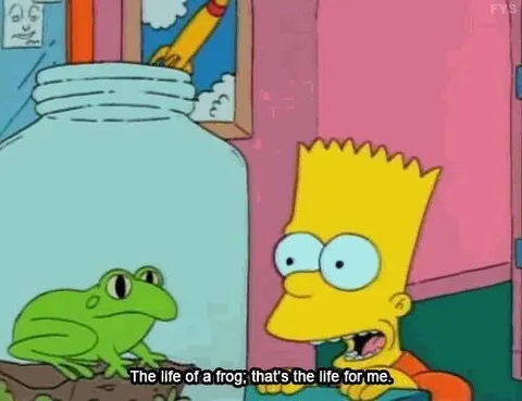The Life of a Frog