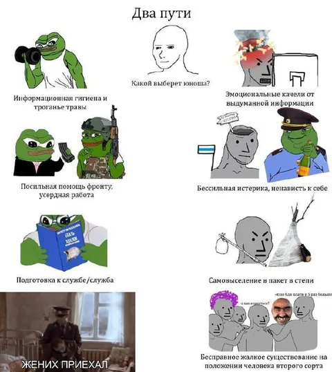 Два пути: трава или истерика