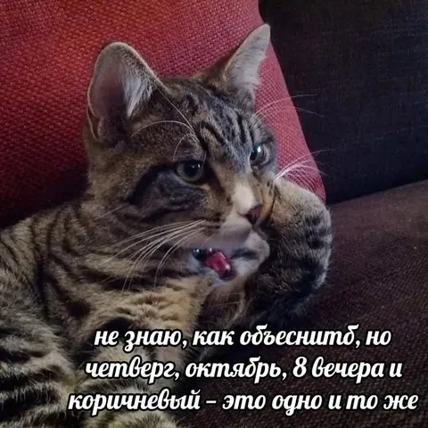 Четверг, октябрь и коричневый