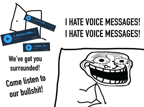 I Hate Voice Messages