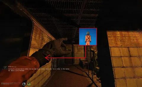 Experienced Stalker in Yantar