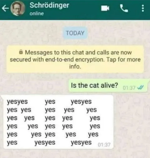 Is the Cat Alive?