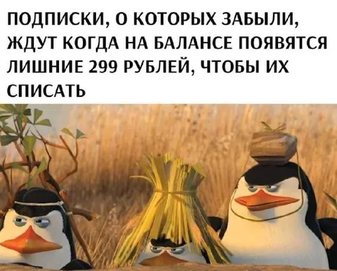 Забытые подписки ждут списания