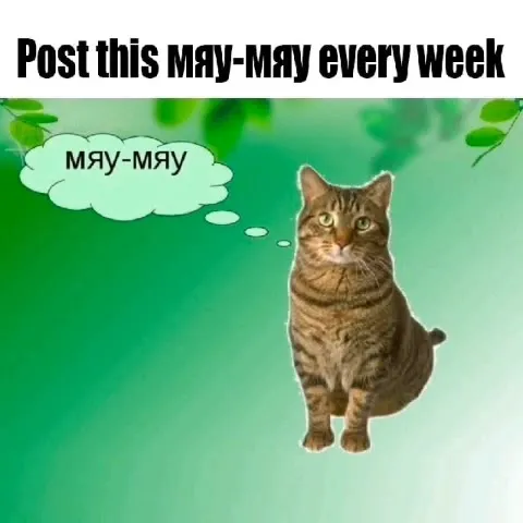 Post This Meow Meow Every Week