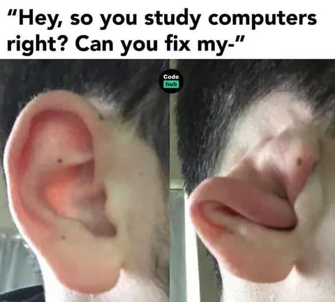 Can You Fix My Ear?