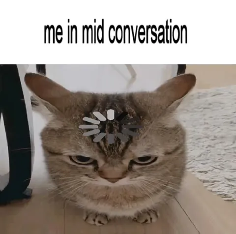 Cat Mentally Buffering