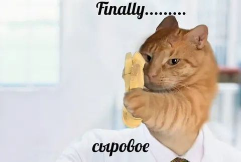 Finally сыровое