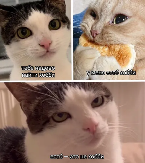 Есть — это не хобби