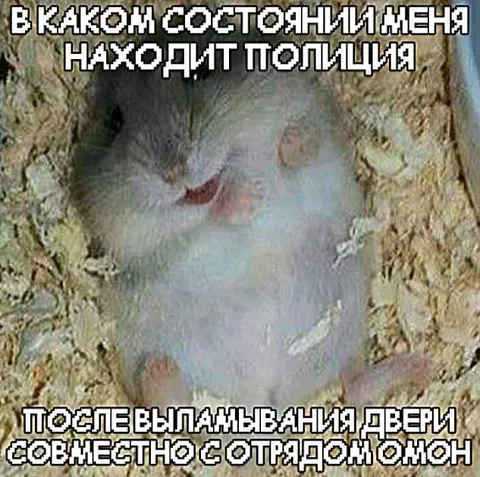 Полиция после взламывания двери